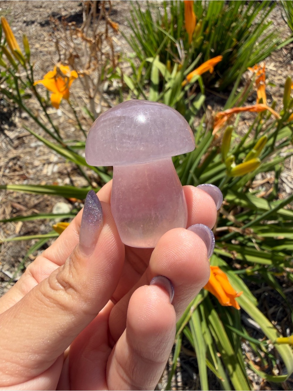 Small Natural Fluorite Mushroom Carving,Hand Carved Crystal Mushroom,A557